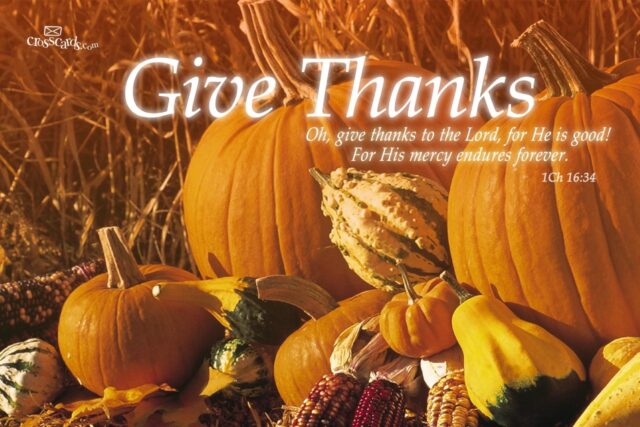 Pumpkins and gourds with "Give Thanks" text.