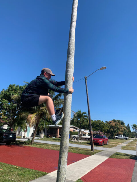 Person climbing a tall pole in park.