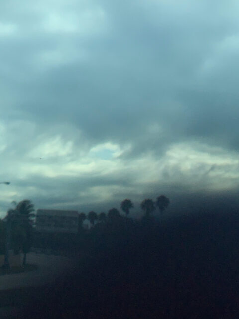 Cloudy sky over silhouetted palm trees.