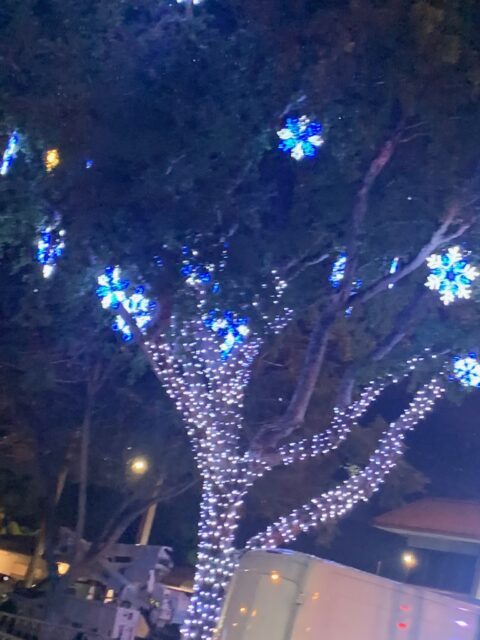 Tree adorned with blue and white lights.