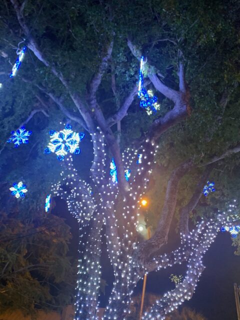 Tree adorned with blue and white lights.