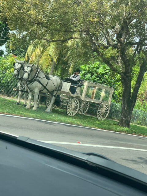 Horse-drawn carriage with driver by roadside.