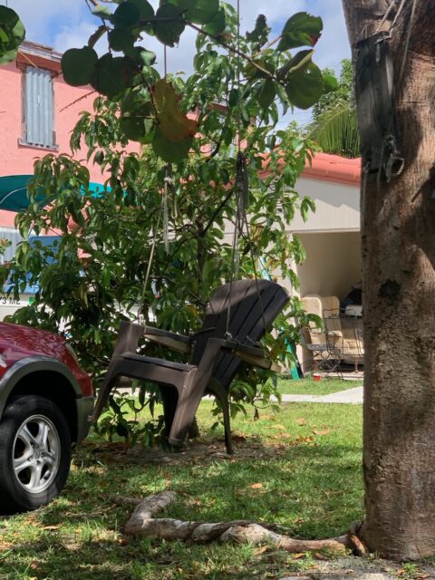 Plastic chair hanging from tree branch.