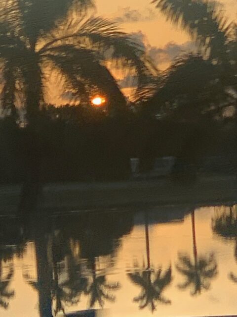 Sunset with palm trees reflected in water.